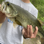 Cahaba River Fish