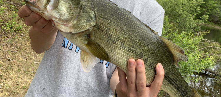 Cahaba River Fish