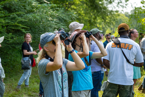 BLACK BELT BIRDING FESTIVAL
