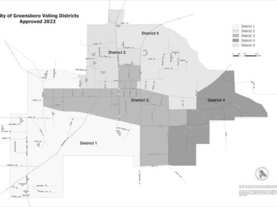 Municipal elections